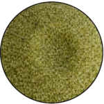 Verde Oliva
